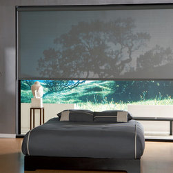 Shades - Roller Shades