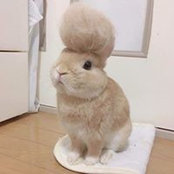 Jo Ooさんの写真