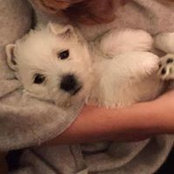 Macy Brooke's photo