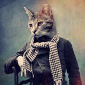 Tim S's photo