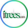 iTrees.com's profile photo