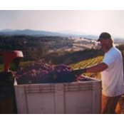 Wade Pugh's photo