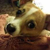 Cindy Oldaker's photo