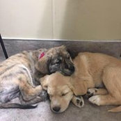 Miriam Arnold's photo