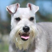 Wrigley Bailey's photo