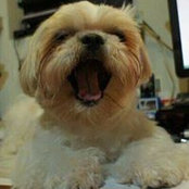 Foto de Tom Chang
