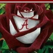 Jacqueline Barnwell's photo