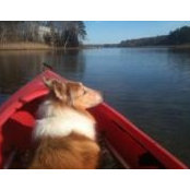 Foto von Jill Gagner Cafarelli