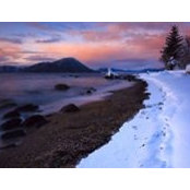 Diane Patente's photo