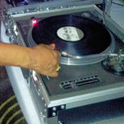 Stacey Hales foto