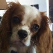 Jennifer Patkowski's photo