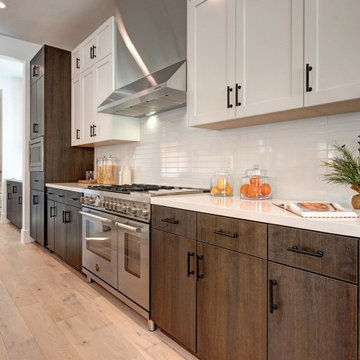 Mar Vista Modern