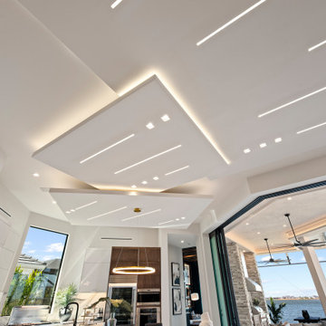 Sand Dollar Model