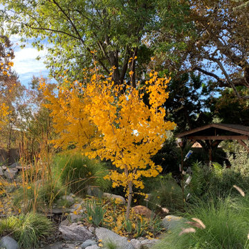 California Craftsman Forest Garden
