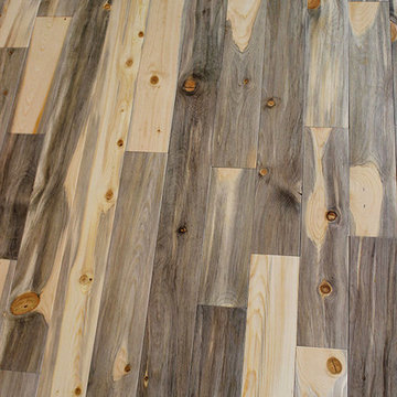 Beetle Kill pine