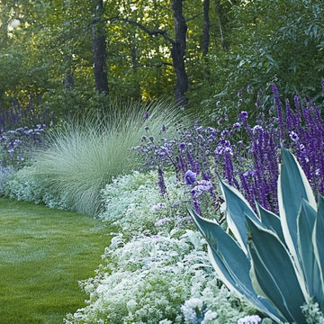Cool Blues Garden Border