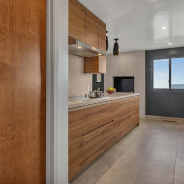 BELVEDERE CT BURLINGAME, CA - Home Remodel