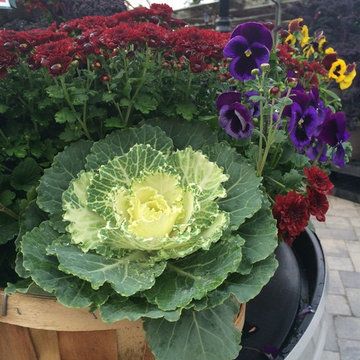 Grouping Fall Plants