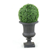 plants