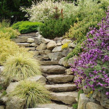Rustic Stone Steps