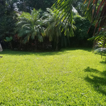 Bond Residence - Miami Beach, FL