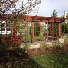 sycamore arbor
