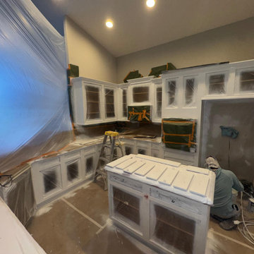 Residential Exterior and Interior Painting Projects Tampa FL