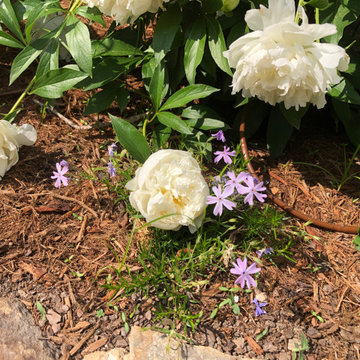 Chatham County Cottage Garden