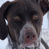 Ron Goerler's photo
