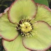 Michelle LeMoine's photo