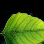 Matt Kowske's photo