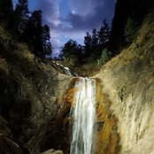 Mark Dick's photo