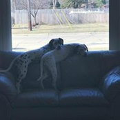 Traci Cauchi's photo