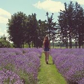 Catherine Babin's photo