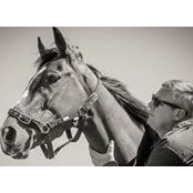 Simon Homann's photo