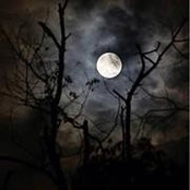 Christy Verplank's photo