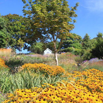 Weymouth Coastal Garden