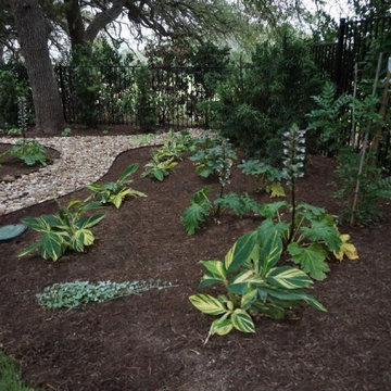 TLA Projects