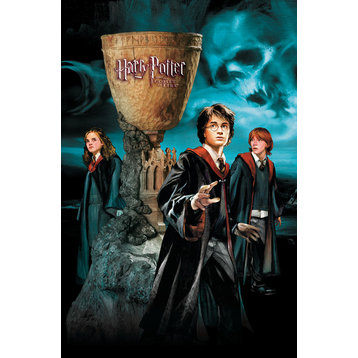 Harry Potter 4 Group Poster, Premium Unframed