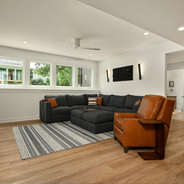 Leawood Lower Level Remodel