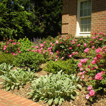 Not So Formal Front Garden
