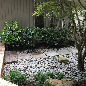 Shaded Asian Garden