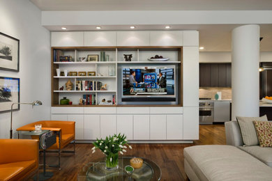 Living room - contemporary living room idea in New York