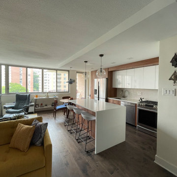 MaryJo Kitchen & Living Renovation