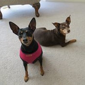 Brenda Robertson's photo