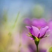 Dawna Bradley's photo