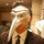 Douglas Yee