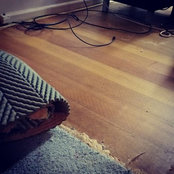 Patrick Logan's photo