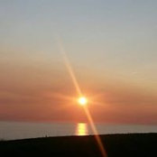 Melissa O'Gradys billede