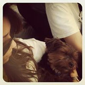 Foto von Vanessa Flores